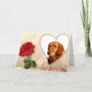 Golden Retriever Rose Herzlichen Glückwunsch Valen Feiertagskarte