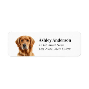 Golden Retriever Rücksendeadressen-Aufkleber