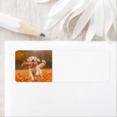 Golden Retriever Rücksendeadressen-Aufkleber (Insitu)