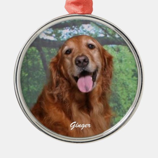 Golden Retriever Rund Ornament, maßgeschneidert Ornament Aus Metall (Vorne)