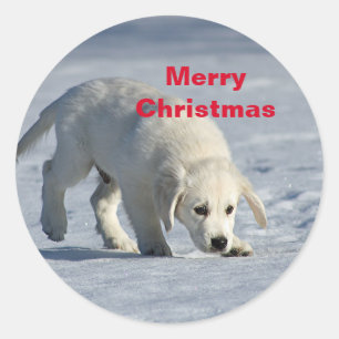 Golden Retriever Runder Aufkleber
