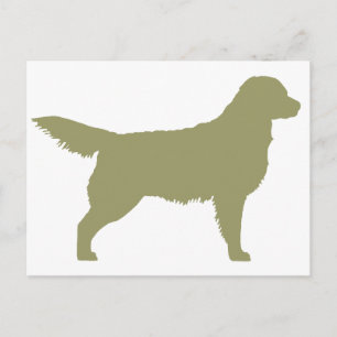 Golden Retriever (Salbei grün) Postkarte