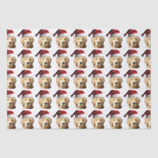Golden Retriever Santa Claus Hat Seidenpapier