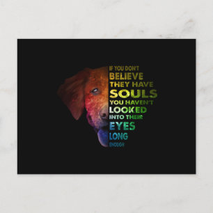 Golden Retriever schaute lange genug in ihr Auge Postkarte