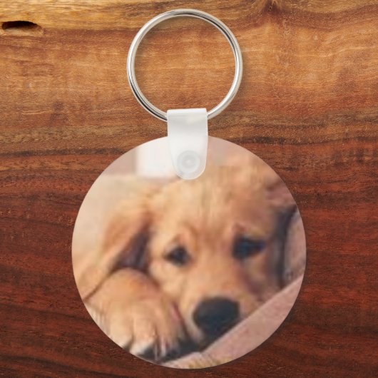 golden retriever schlüsselanhänger (Vorderseite)