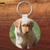 Golden Retriever Schlüsselanhänger (Vorderseite)