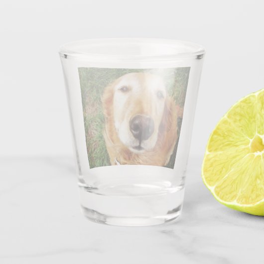 Golden Retriever Schnapsglas (Rückseite)