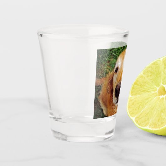 Golden Retriever Schnapsglas (Links)