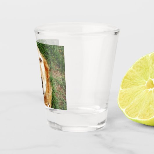 Golden Retriever Schnapsglas (Rechts)