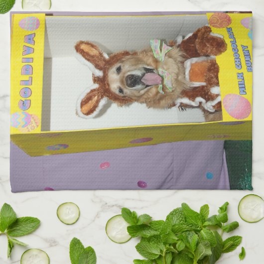 Golden retriever-Schokoladen-Kaninchen in den Handtuch (Gefaltet)