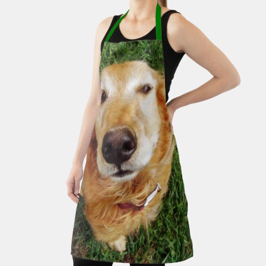 Golden Retriever Schürze (InSitu)