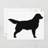 Golden Retriever (schwarz) Postkarte (Vorne/Hinten)