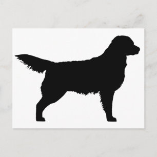 Golden Retriever (schwarz) Postkarte