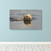 Golden Retriever Schwimmen Leinwanddruck (Insitu (Holzboden))