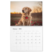 Golden Retriever Season Calandar Kalender (Feb 2026)