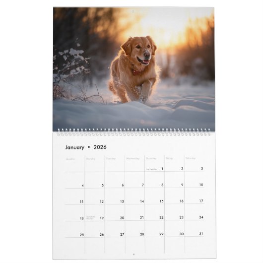 Golden Retriever Season Calandar Kalender (Jan 2026)