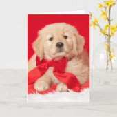 Golden Retriever Seasons Gurr-eetings Welpe Karte (Gelbe Blume)
