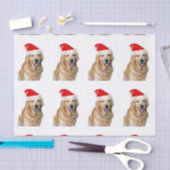 Golden Retriever Seidenpapier (Handwerk)