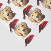 Golden Retriever Seidenpapier (Ausschnitt)