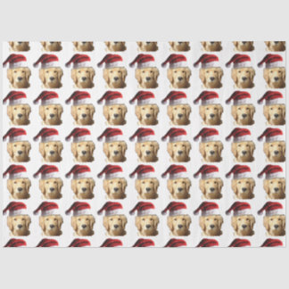 Golden Retriever Seidenpapier