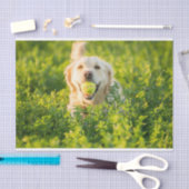 Golden retriever-Seidenpapier Seidenpapier (Handwerk)