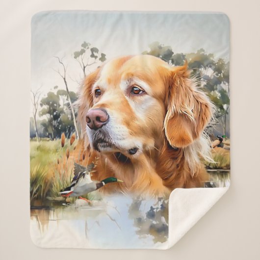 Golden Retriever Sherpadecke (Vorderseite)