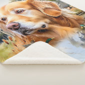 Golden Retriever Sherpadecke (3/4)