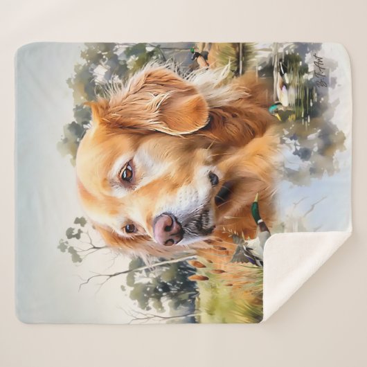 Golden Retriever Sherpadecke (Vorderseite (Horizontal))