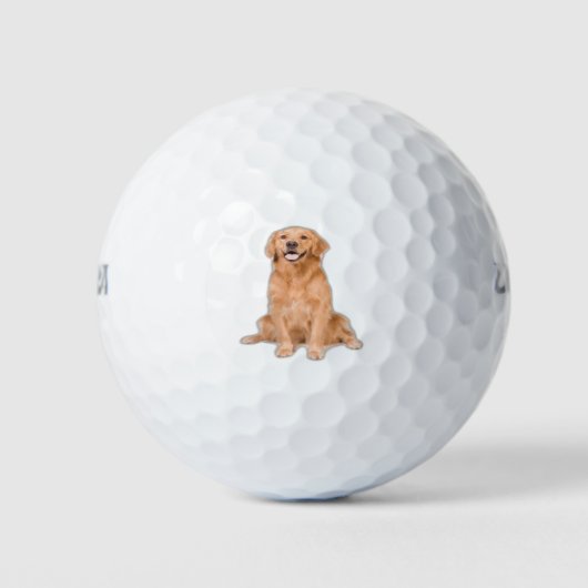 Golden Retriever Sitting - Adorable Design Golfball (Vorderseite)