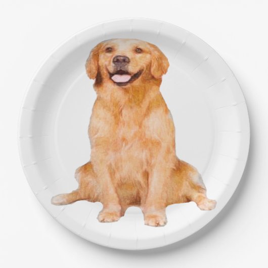 Golden Retriever Sitzen Pappteller (Vorderseite)