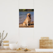 Golden Retriever Sitzen Poster (Küche)