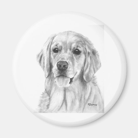 Golden Retriever Sketch Magnet (Vorne)
