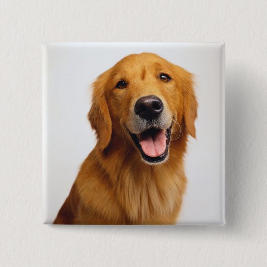 Golden Retriever Smile Button (Vorderseite)
