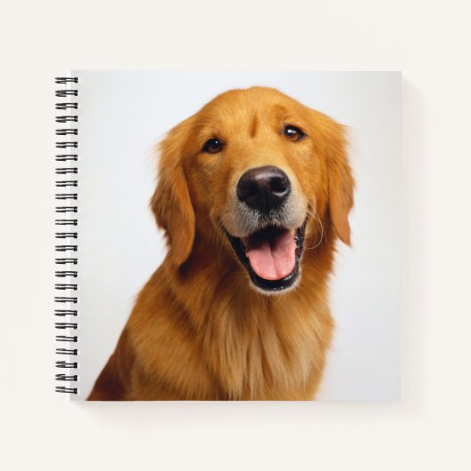 Golden Retriever Smile Notizblock (Vorderseite)