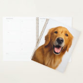 Golden Retriever Smile Planer (Anzeige)