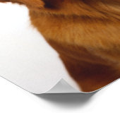 Golden Retriever Smile Poster (Ecke)