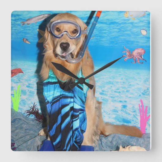 Golden retriever Snorkeler Quadratische Wanduhr (Vorderseite)