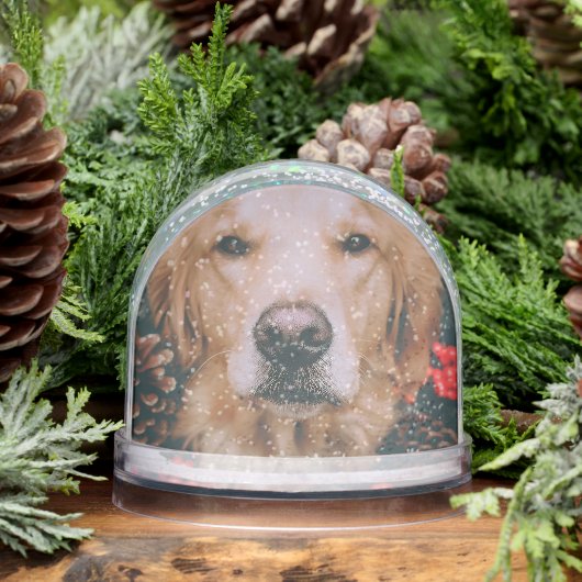 Golden Retriever Snow Globe Dog Snow Globe Schneekugeln (Winter)