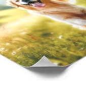 Golden Retriever - So glücklich Poster (Ecke)