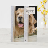 Golden Retriever Spaß Geburtstag Karte (Gelbe Blume)
