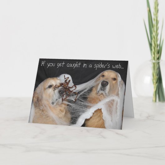 Golden Retriever SpiegelewebHalloween Feiertagskarte (Vorderseite)