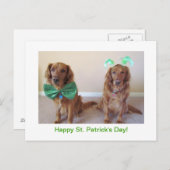 Golden Retriever St. Patrick's Day Postcard Postkarte (Vorne/Hinten)