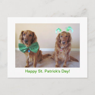 Golden Retriever St. Patrick's Day Postcard Postkarte