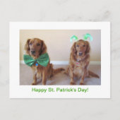 Golden Retriever St. Patrick's Day Postcard Postkarte (Vorderseite)