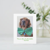Golden Retriever St. Patrick's Day Postcard Postkarte (Stehend Vorderseite)