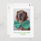 Golden Retriever St. Patrick's Day Postcard Postkarte (Vorne/Hinten)
