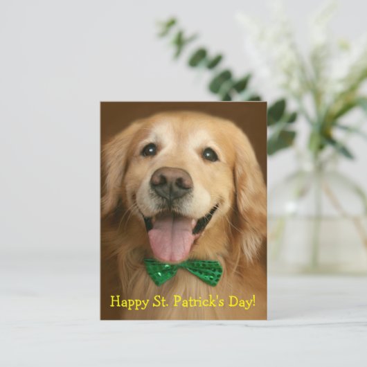 Golden Retriever St. Patrick's Day Postkarte (Stehend Vorderseite)