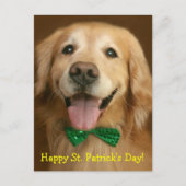 Golden Retriever St. Patrick's Day Postkarte (Vorderseite)