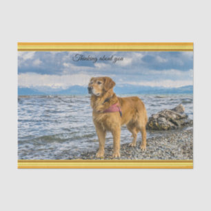 Golden Retriever stehend auf blauem Meeresfelsen Seidenpapier