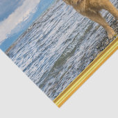 Golden Retriever stehend auf blauem Meeresfelsen Seidenpapier (Ausschnitt)